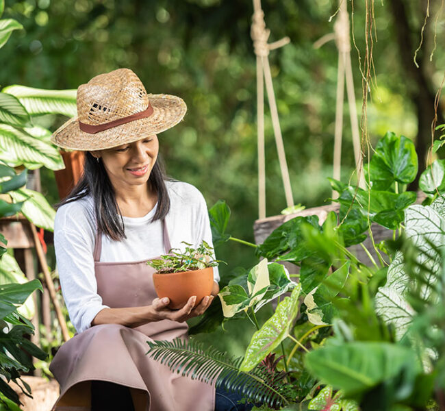 Expert Landscaping Services in Rickmansworth | LadBrook